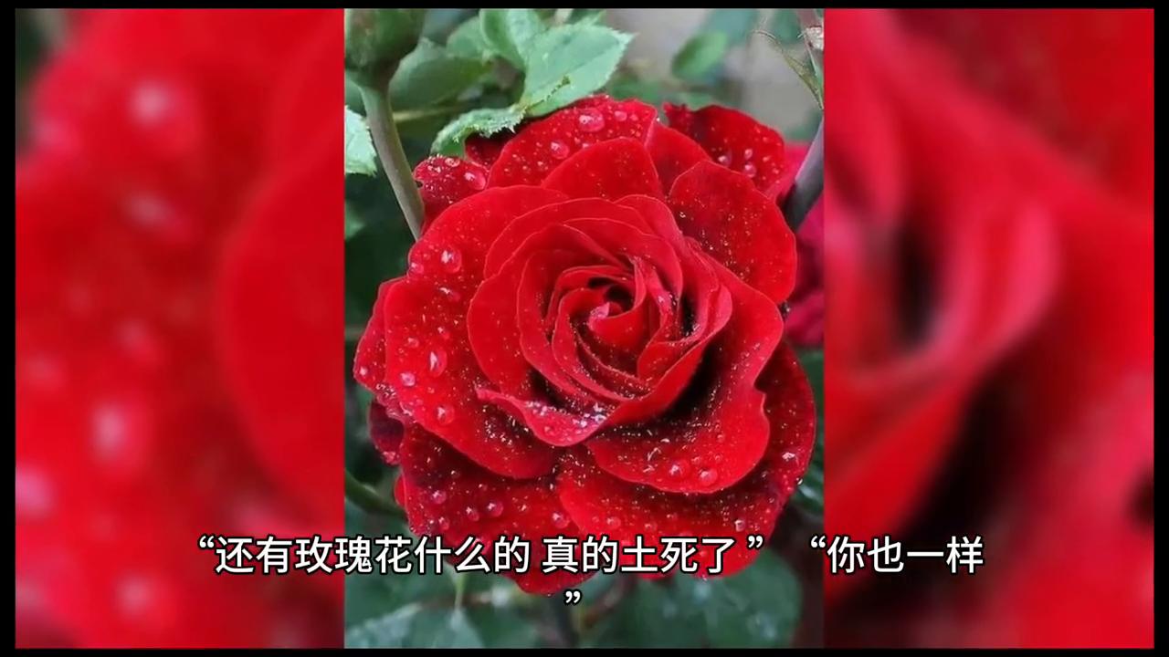 #怎么舒服怎么来,怎么舒服怎么来用粤语怎么说