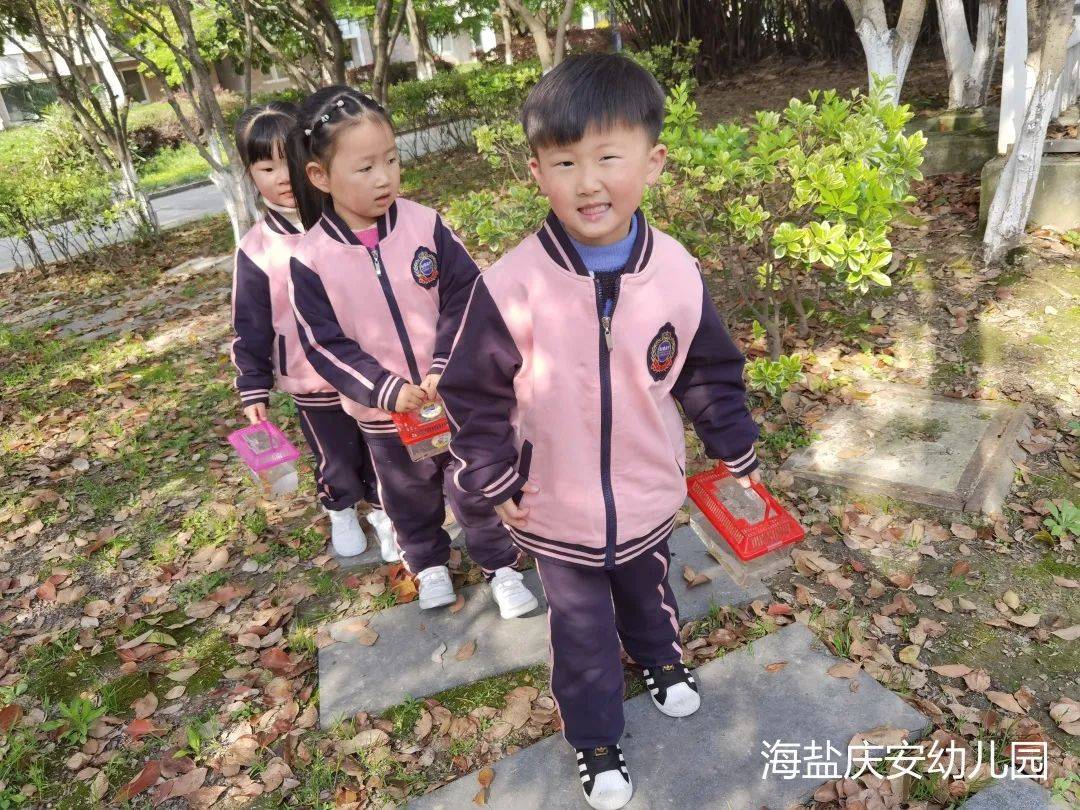 邂逅蝌蚪，感受生命的演变—诺亚舟海盐庆安幼儿园小一班