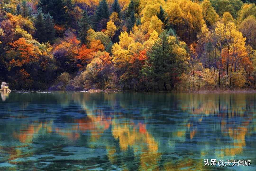九寨归来不看水四川行,九寨归来不看水峨眉归来不看山