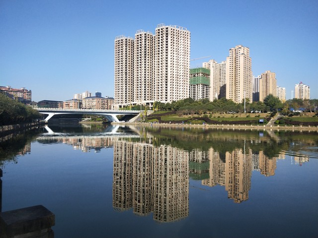 我，40多岁创业，从湖南到广东湛江种植火龙果，如今年收入30多万