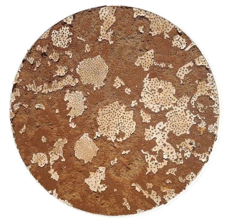 从邱涛的“实践”看之江风华丨BeautyinZhejiang《一》