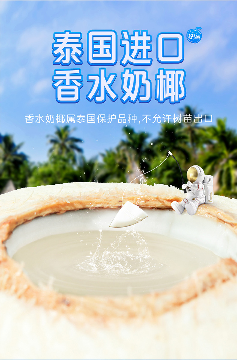 东泰一宝椰青和佳沃椰青哪个好,佳沃椰青怎么分好坏