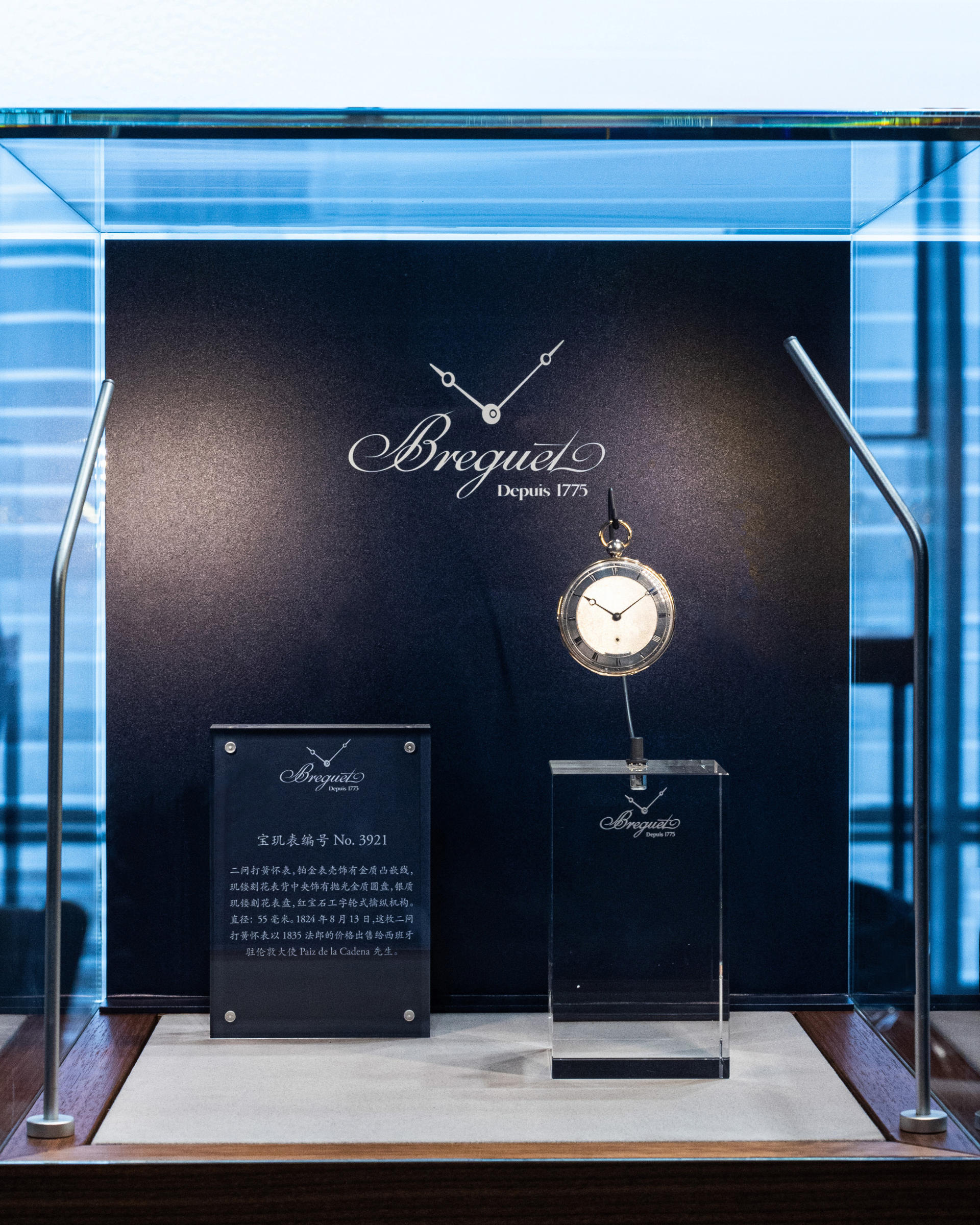 湾区羙好生活周报|星语祝福,十二月新愿季