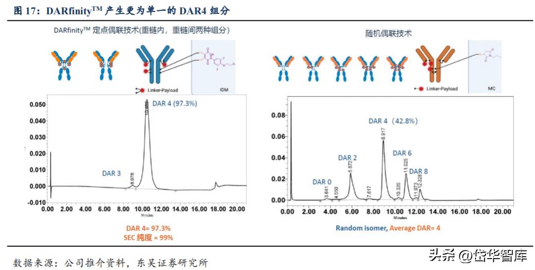 有效避开内卷，迈威生物：ADC锋芒初显，快速成长的Biopharma