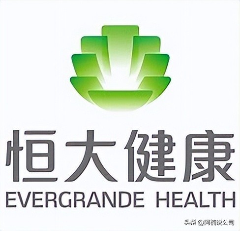 中国五百强恒大,2020恒大中国500强第几名