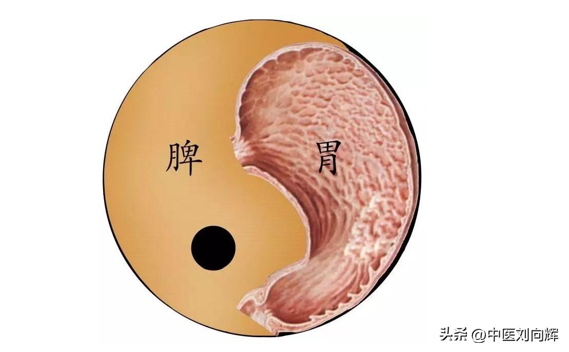 脾经最易堵塞的穴位,脾经堵什么症状