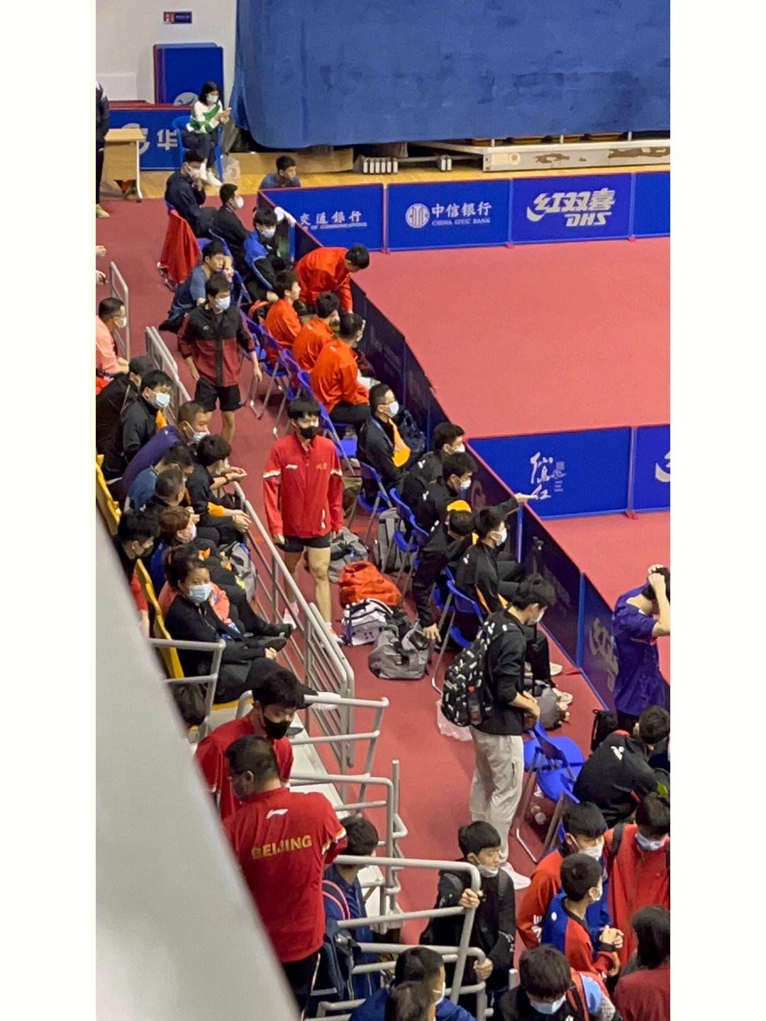 王楚钦以前谈恋爱照片,王楚钦新恋情是谁