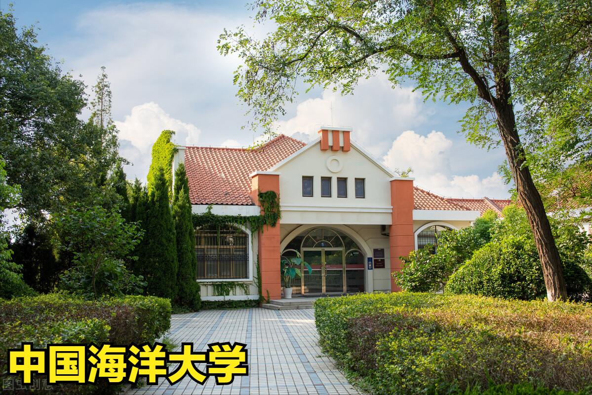 山东综合素质评价填无可以吗,山东综合素质评价生何时录取