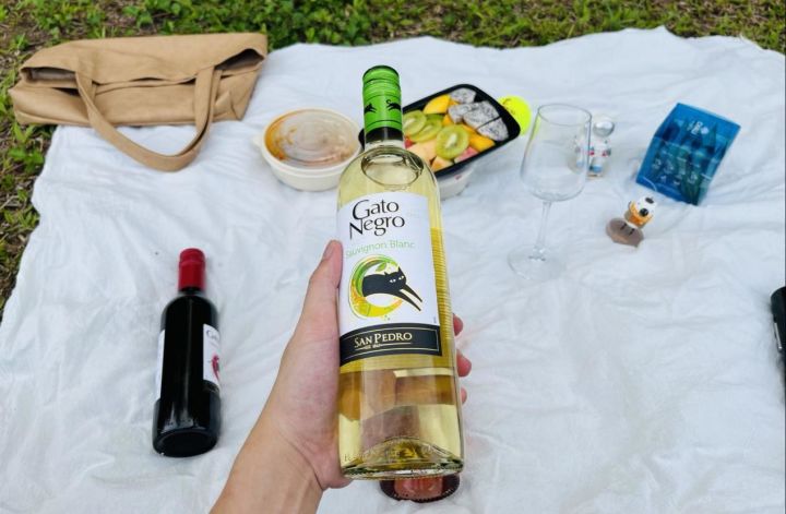 前段时间开始喜欢喝葡萄酒，买了这款黑猫葡萄酒体验一下