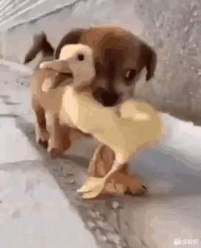 搞笑gif韩国爱豆,思密达的搞笑照片