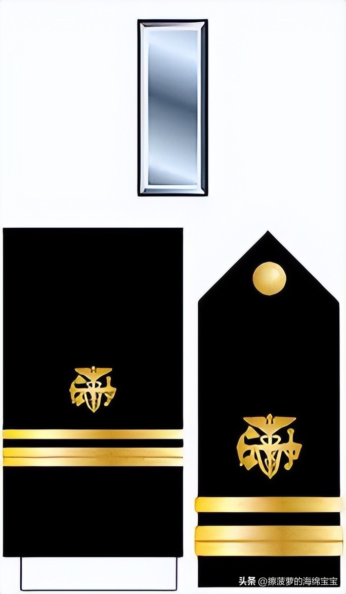 美国公共卫生服务军官团有多少人,美国医务兵地位