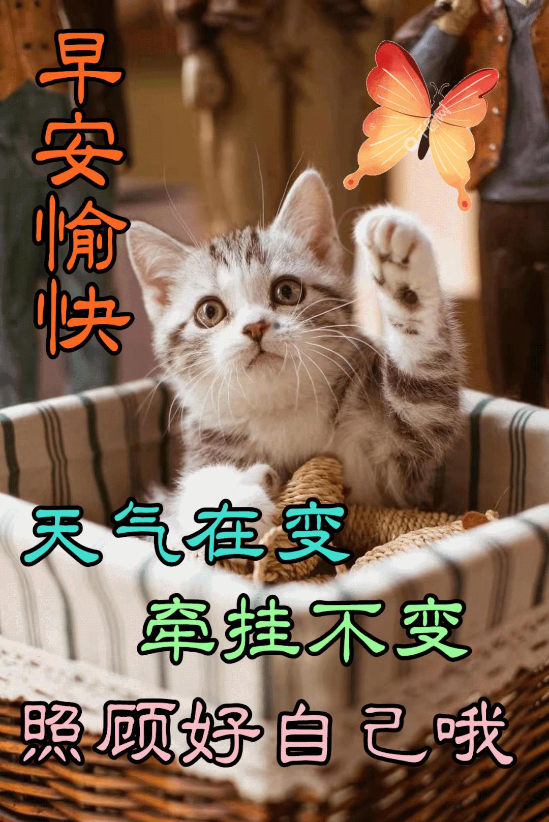 早安心语每日一语励志短句图片,早安问候语正能量努力的短句图片