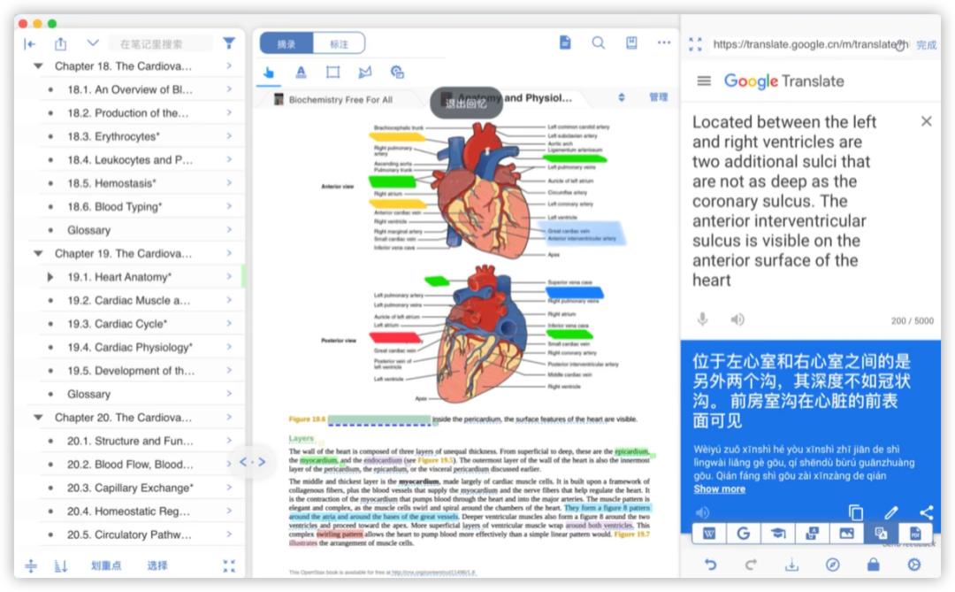 mac十大必备软件排行,macjava开发必备软件