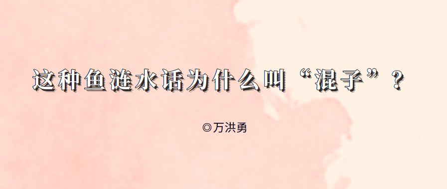 混子这种鱼叫什么,混子涟水方言