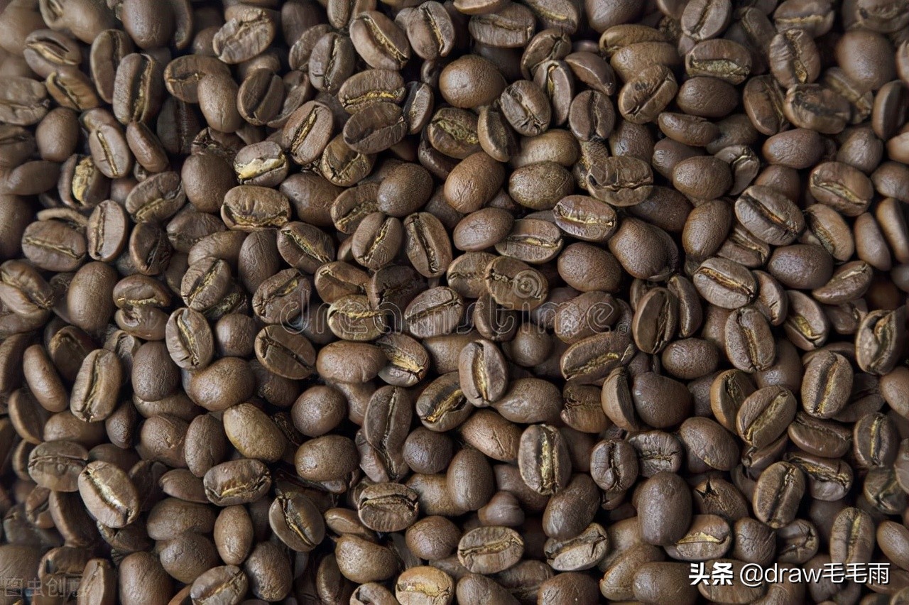 牙买加蓝山和哥伦比亚咖啡,咖啡牙买加蓝山