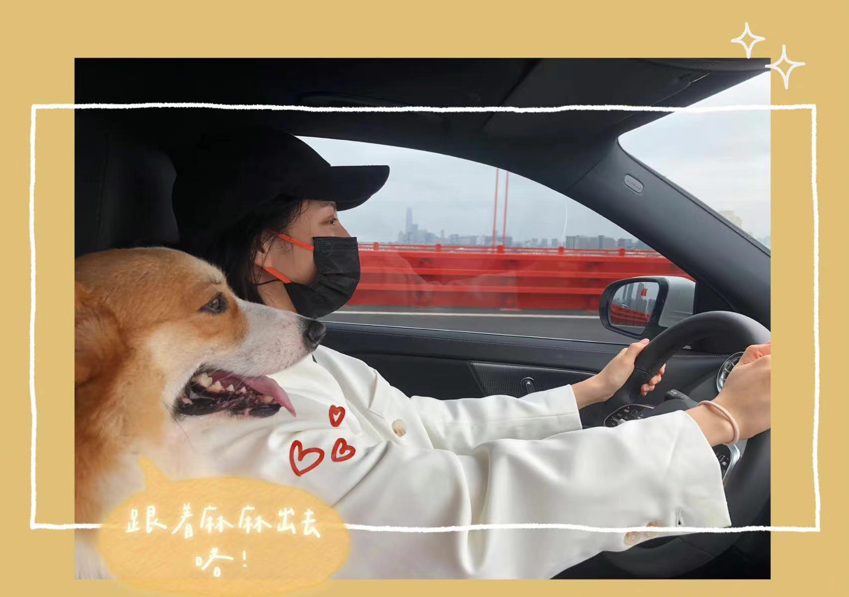 王思聪对汪小菲和大s的看法,王思聪评价大s汪小菲最新