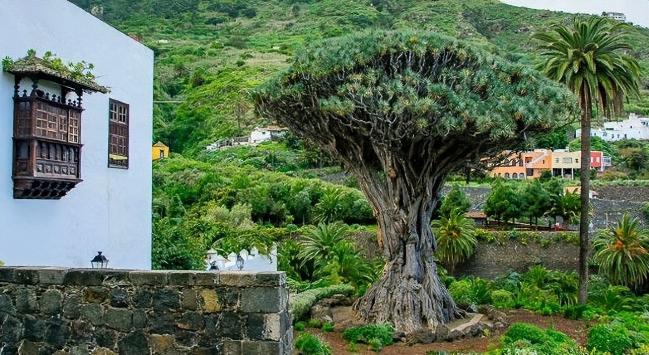 马云西班牙私人海岛,马云去西班牙旅游