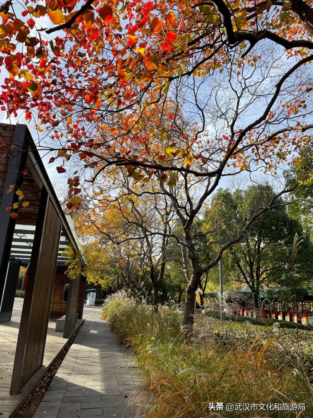 秋天的公园像一幅美丽的油画,园博园油画