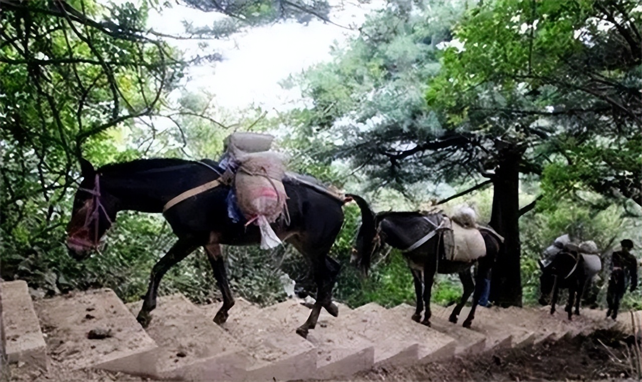 山里马帮的真实生活,农村夫妻货车生活真实记录