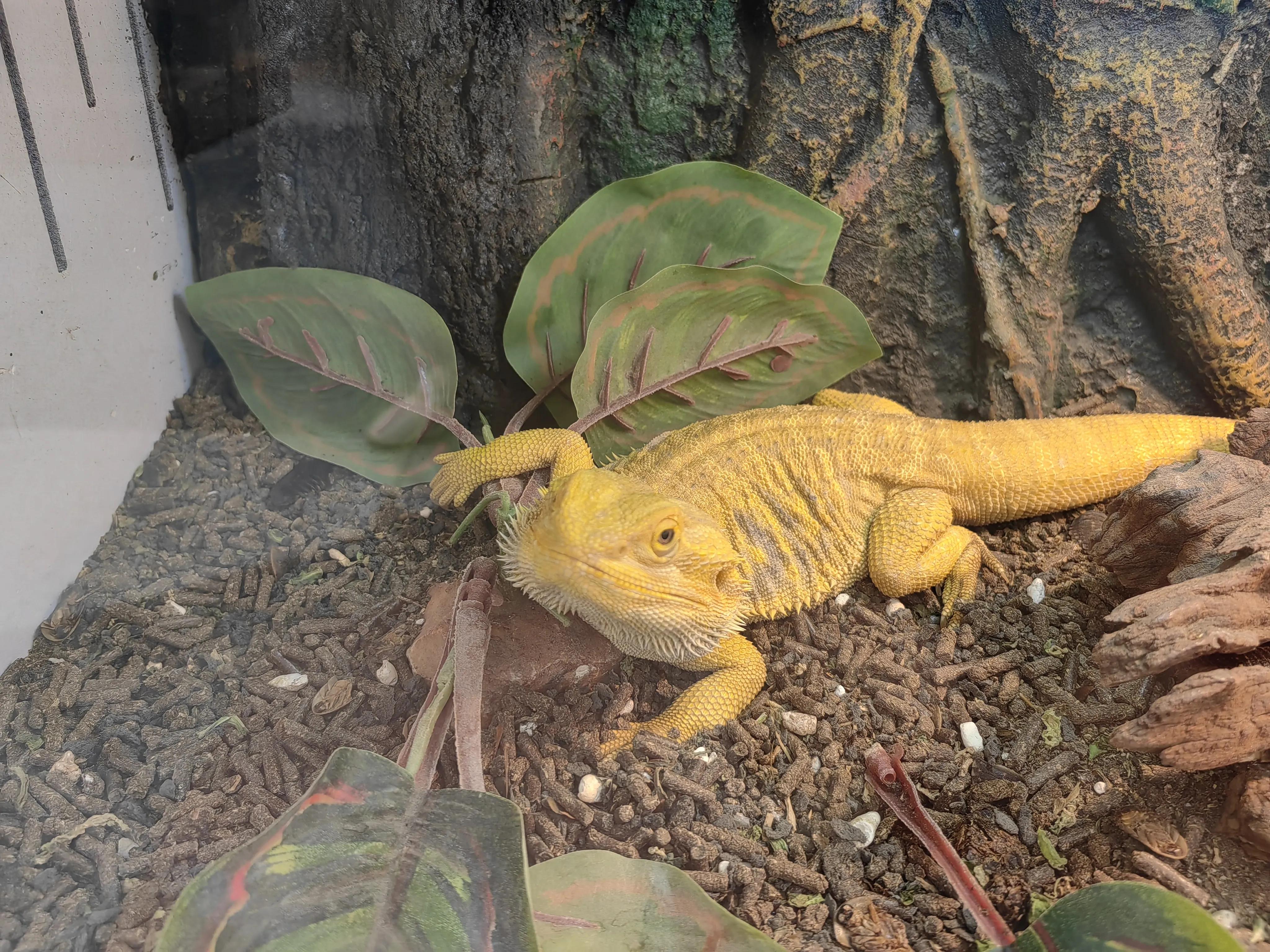 北京南宫五洲植物乐园测评,北京南宫五洲植物乐园视频