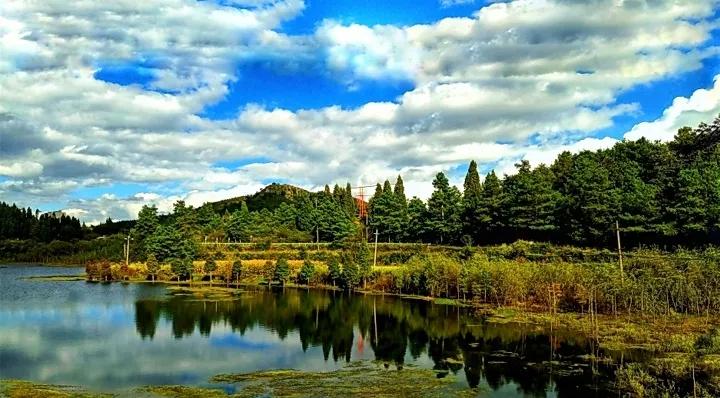 自述：我异国务工遇真爱，可她却不肯嫁给我，只教会我如何做贸易