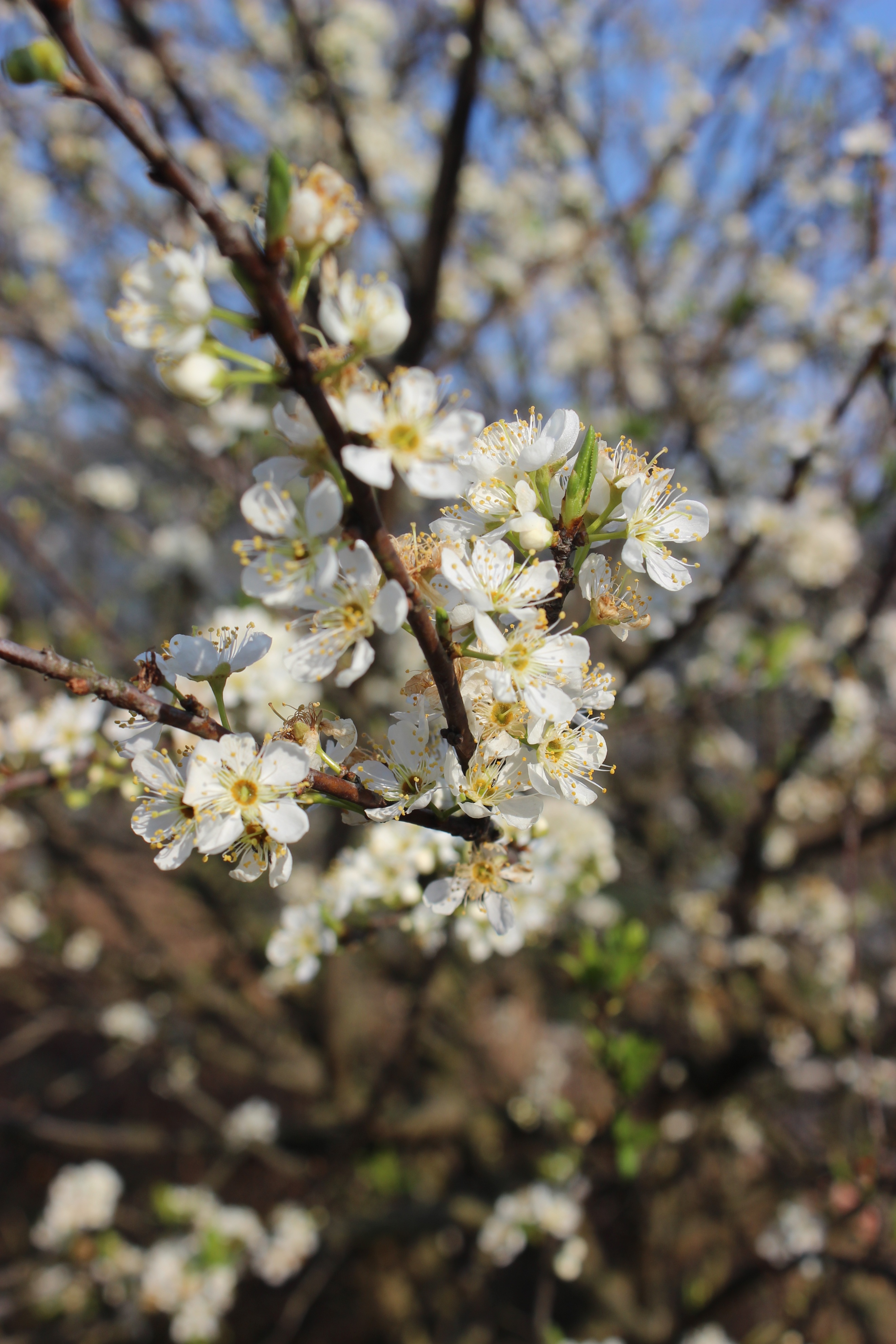 赣州周末出游攻略,春节赣州出发2-3天短途旅游