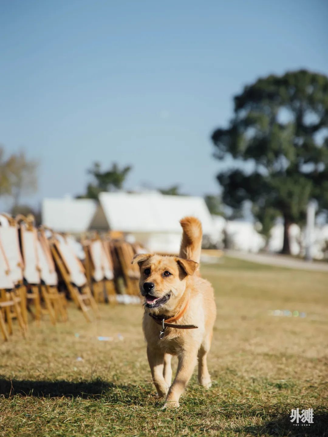 上海新晋热门打卡地，在红砖窑厂里喝咖啡、露营