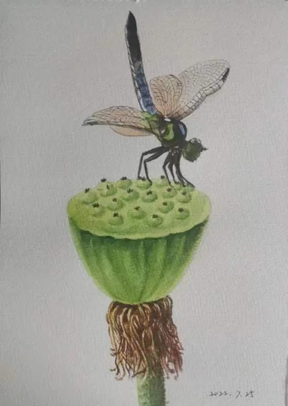 幸福画吧画友作品欣赏,幸福原创绘画作品欣赏