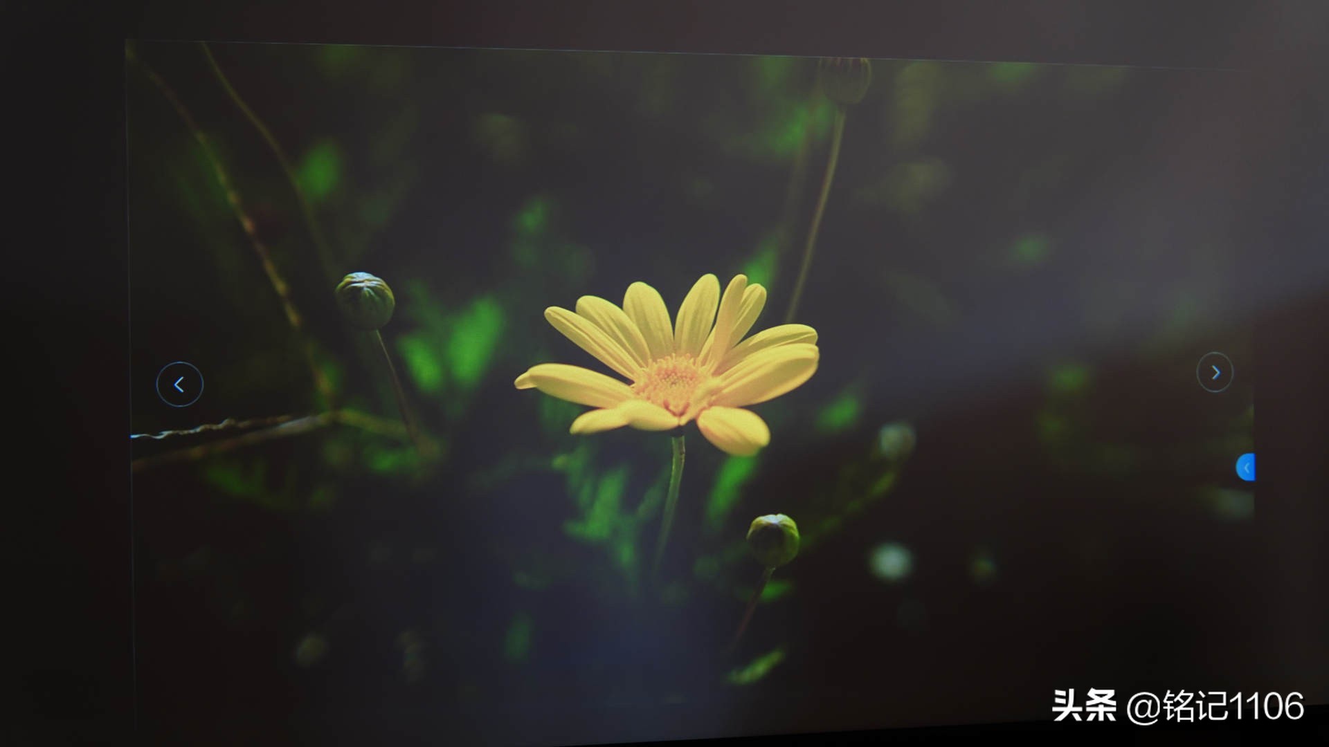 小明q1pro投影仪和米家投影仪,小明q1pro和极米newz6x投影仪哪个好