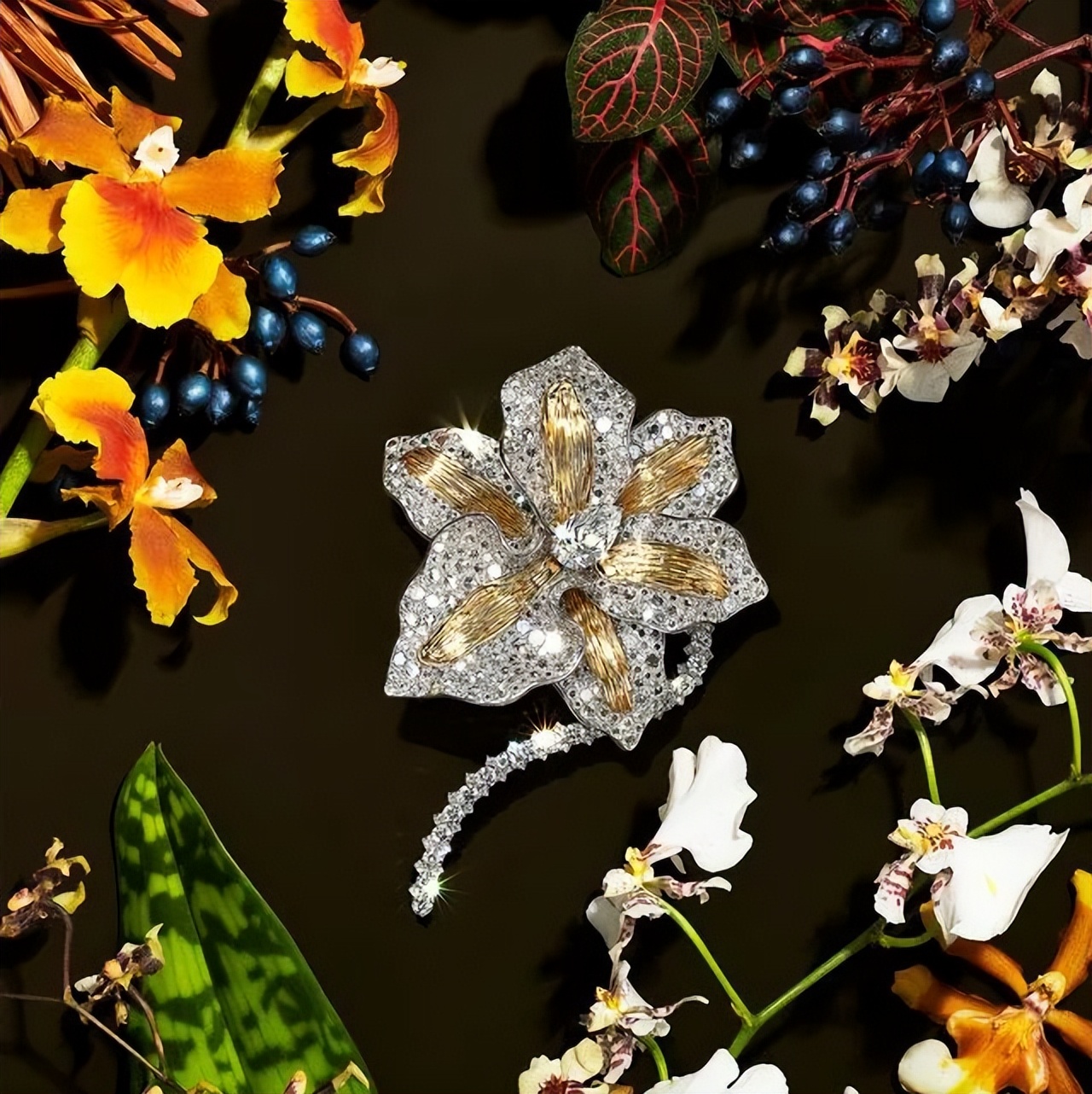 作品特火人不火?这次终于藏不住了!给你深扒这位低调传奇大师