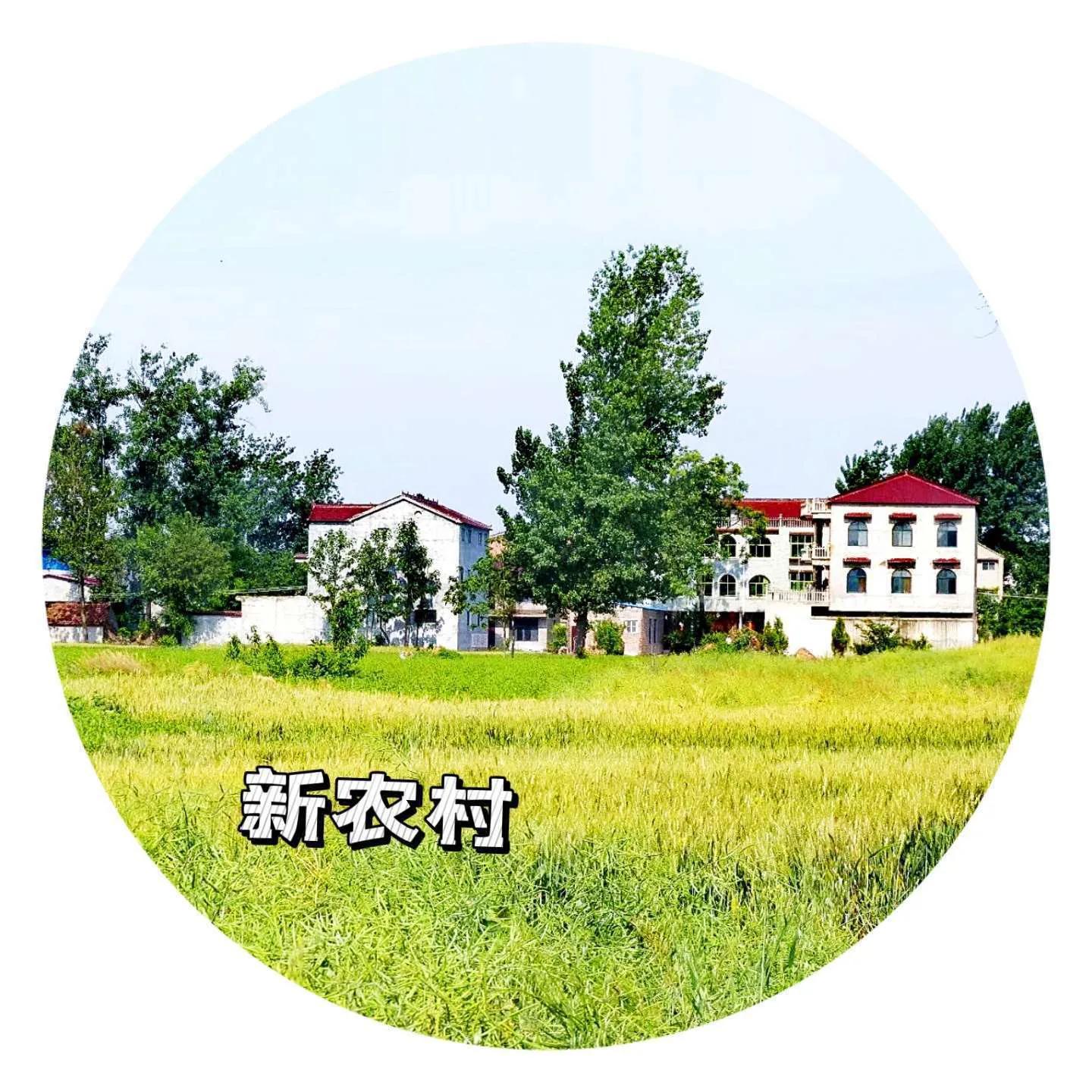 我的家乡鹿邑老子故里作文,我的家乡鹿邑作文400字怎么写