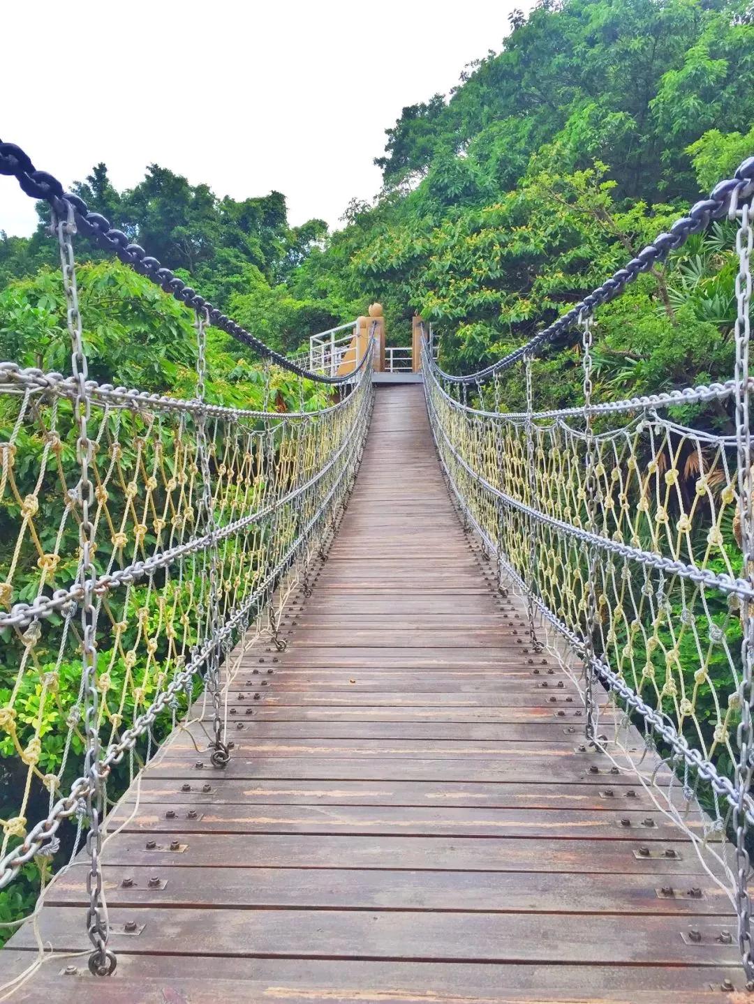 《误杀2》取景地、撑起香港娱乐圈的半壁江山，这个小城又火了