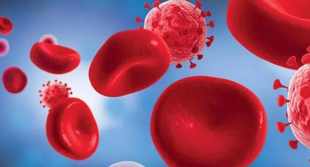 哪些食物含铁对缺铁性贫血有作用,贫血吃含铁高食物