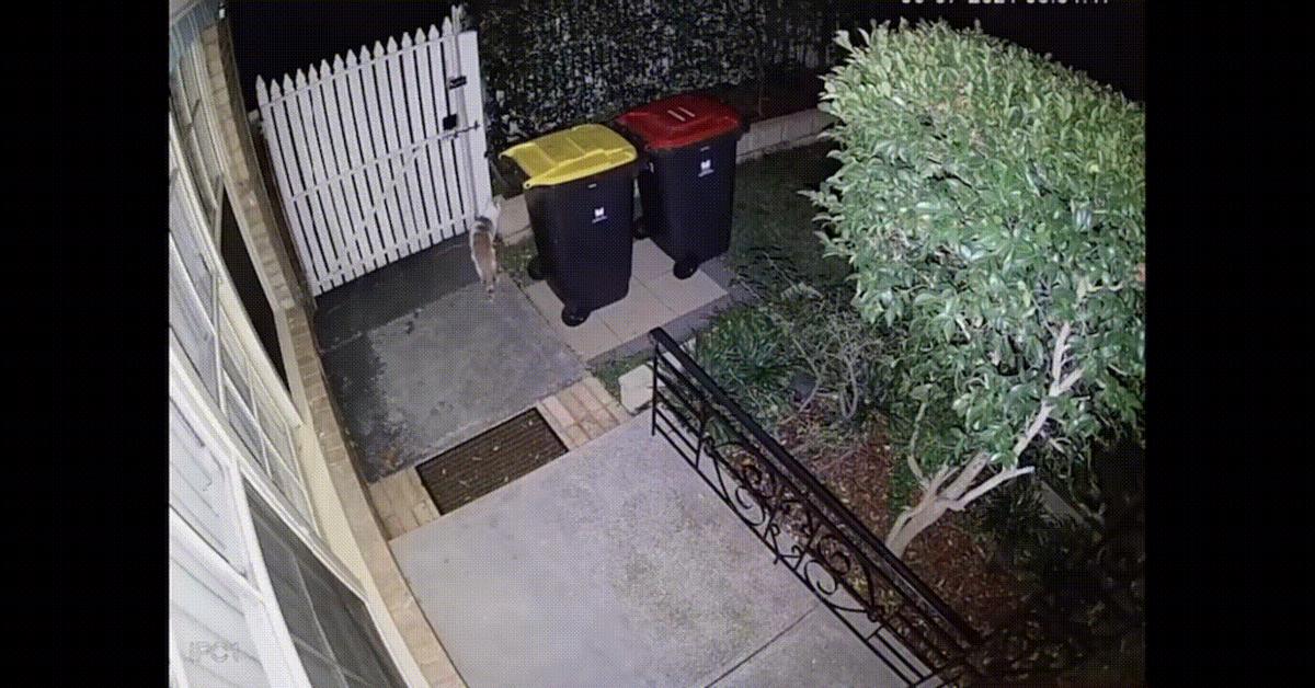 tplink和萤石哪个摄像头好,家用监控tplink和萤石哪个更好