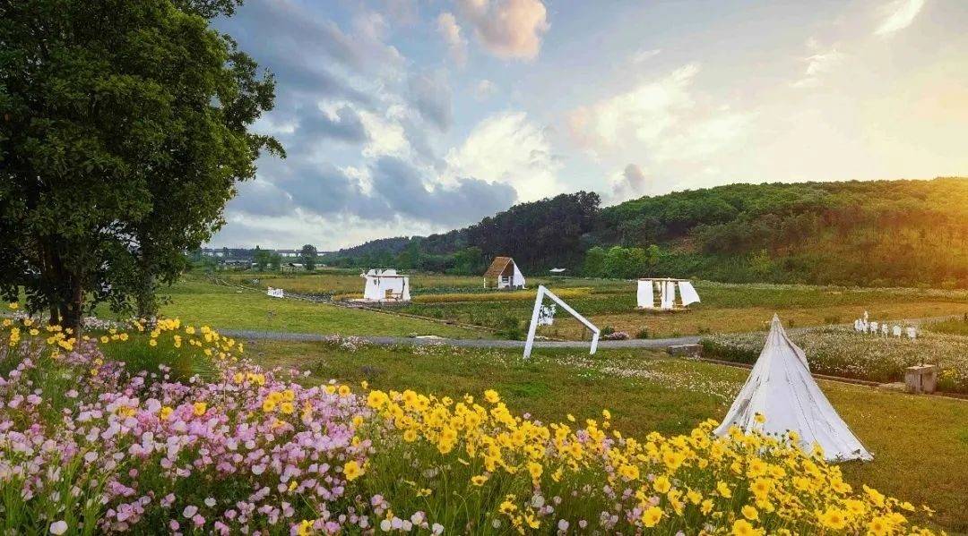 金坛茅山规划,金坛茅山旅游度假区