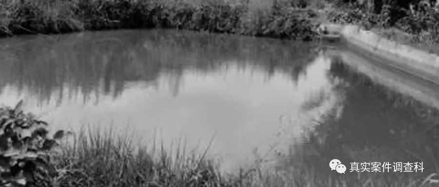 深圳宝安有个出租屋，跟女孩进去，跟壮汉出来丨真案001