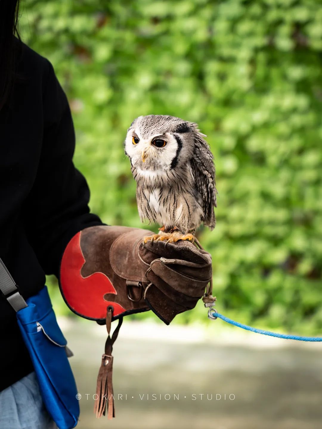 日本静冈市旅游,日本打卡景点小众静冈