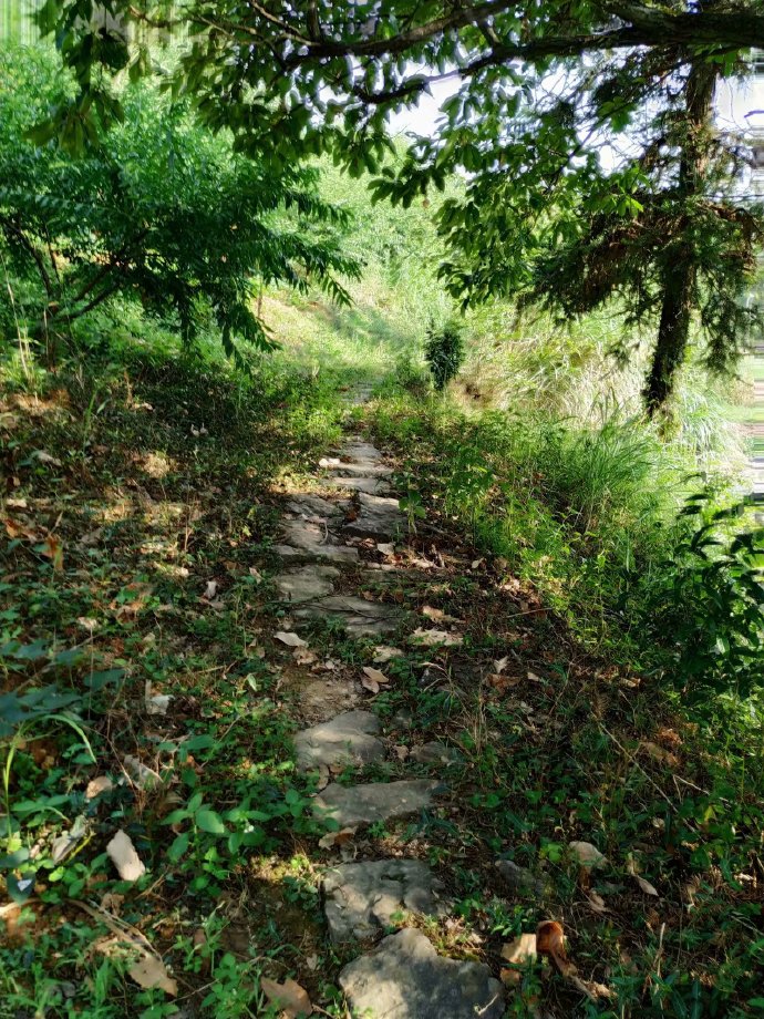 郴乐古道之水头江宜乐古道--广东省乐昌市庆云镇