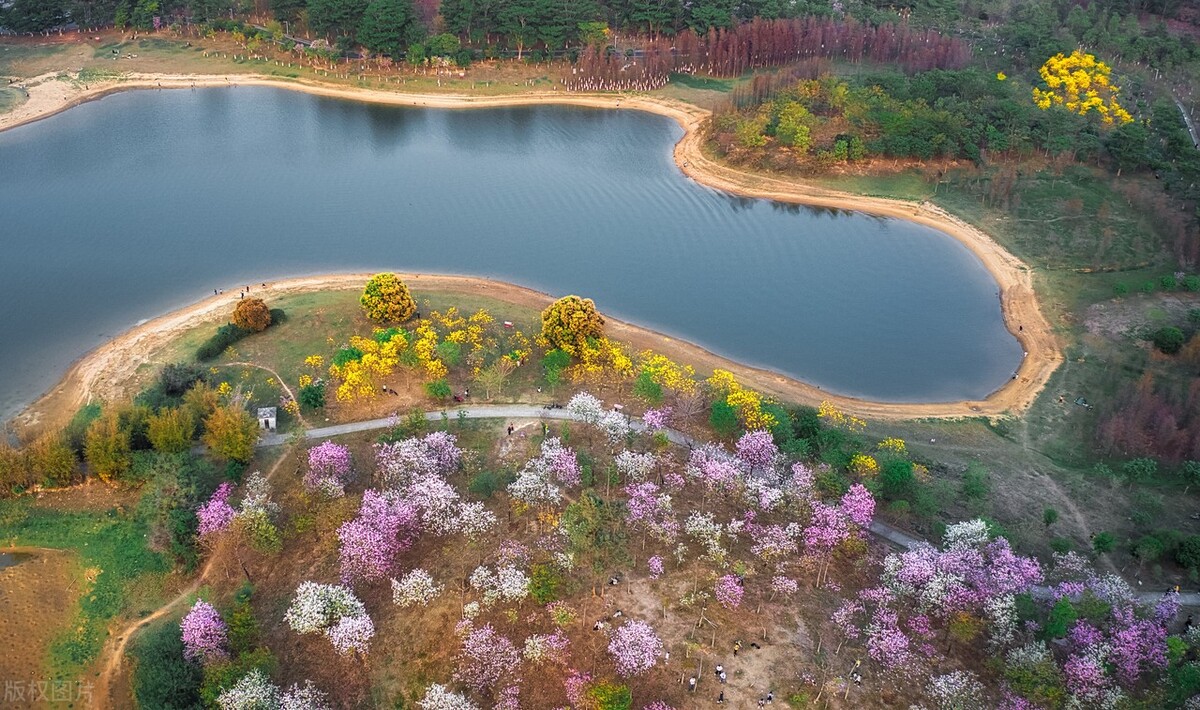 东莞市内旅游的景点都有哪些,东莞市里内特色游玩地方