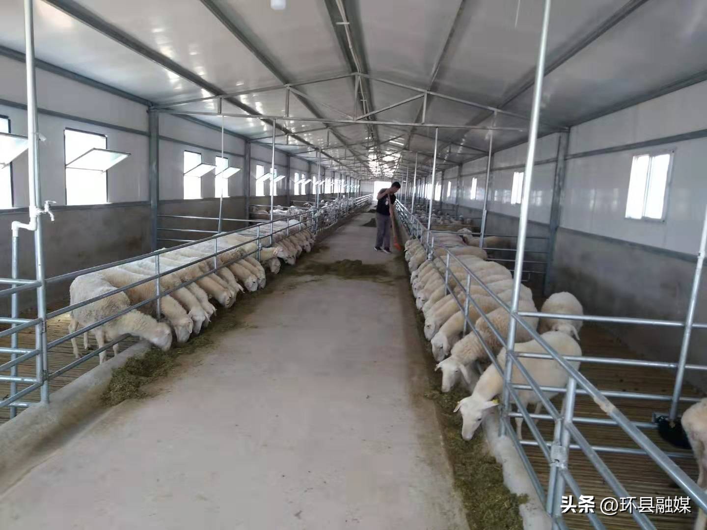 带动群众致富奔小康,容县强化党建引领助推产业发展