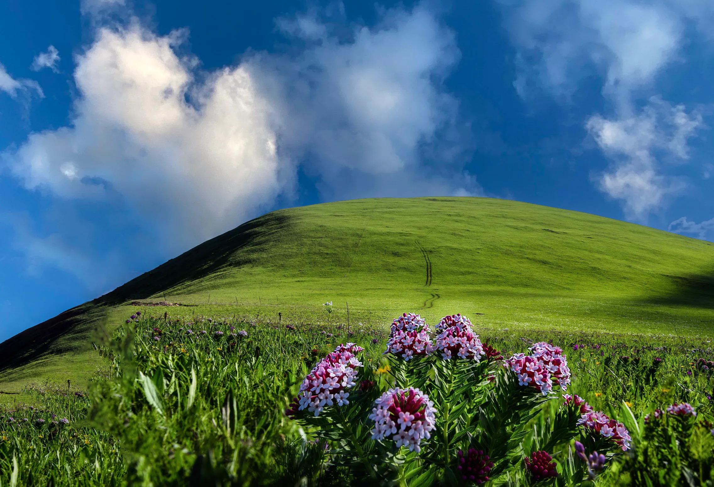 天路丰宁坝上草原自驾游攻略,去坝上草原天路的攻略