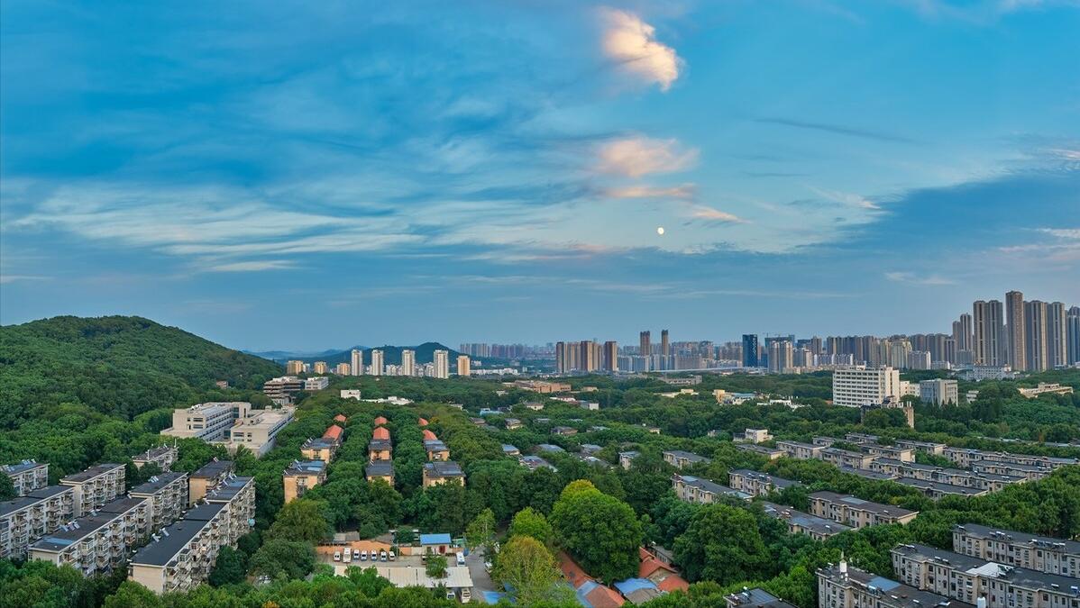 哈工大西交北理工怎么选,北理工武大华科大怎么选