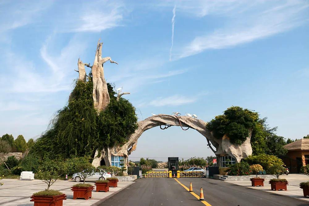 菏泽牡丹节赏花攻略,菏泽春日赏花攻略