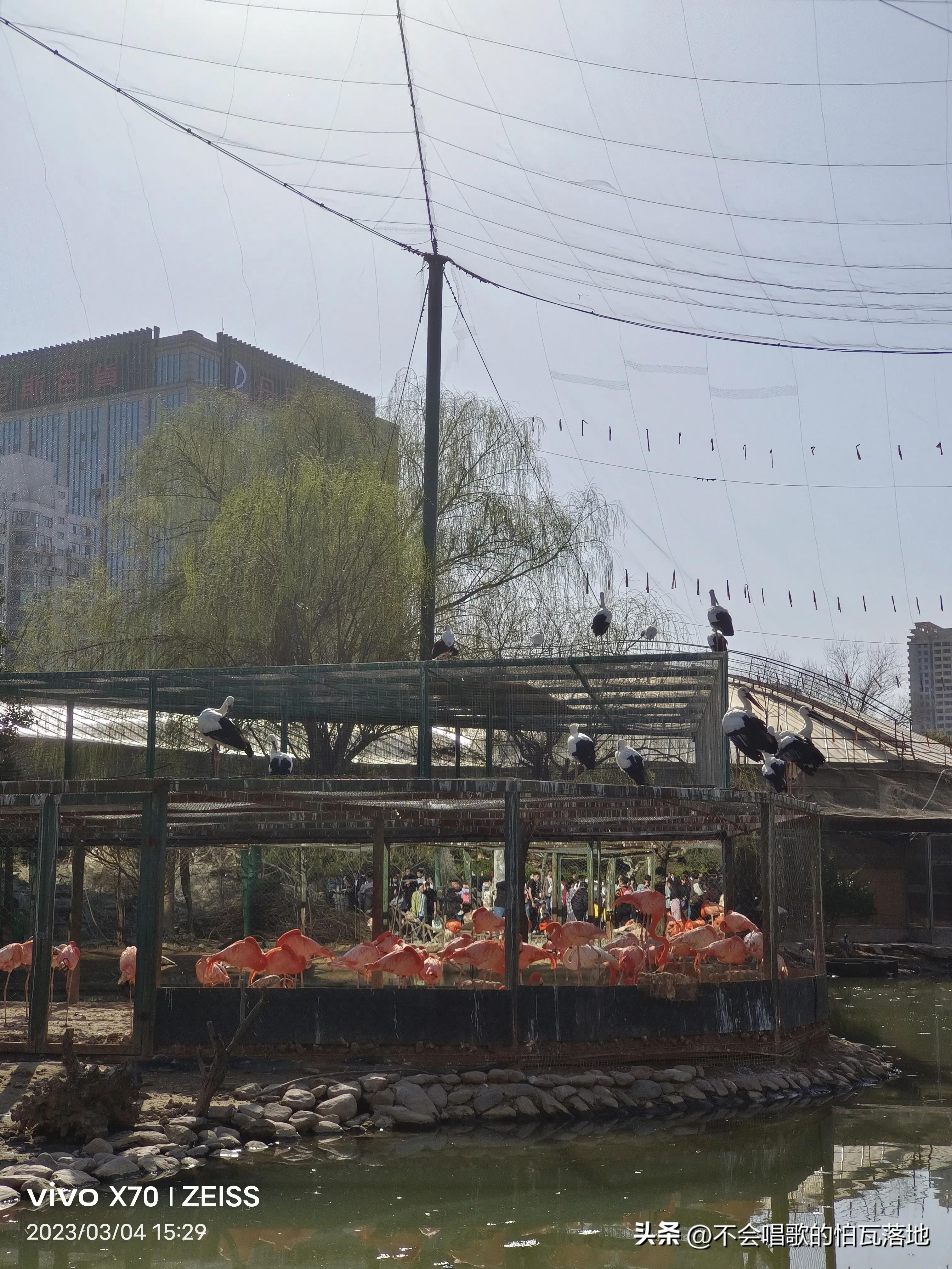 郑州动物园介绍一日游,郑州市动物园正常游览时间