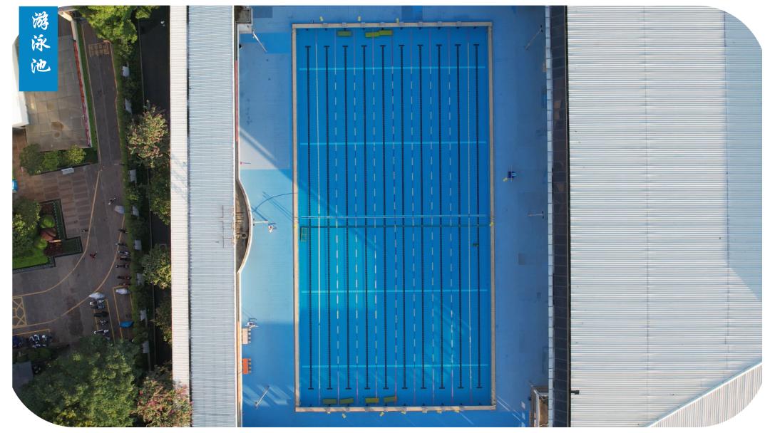 深圳光明高级中学体育场,深圳光明高级中学校队