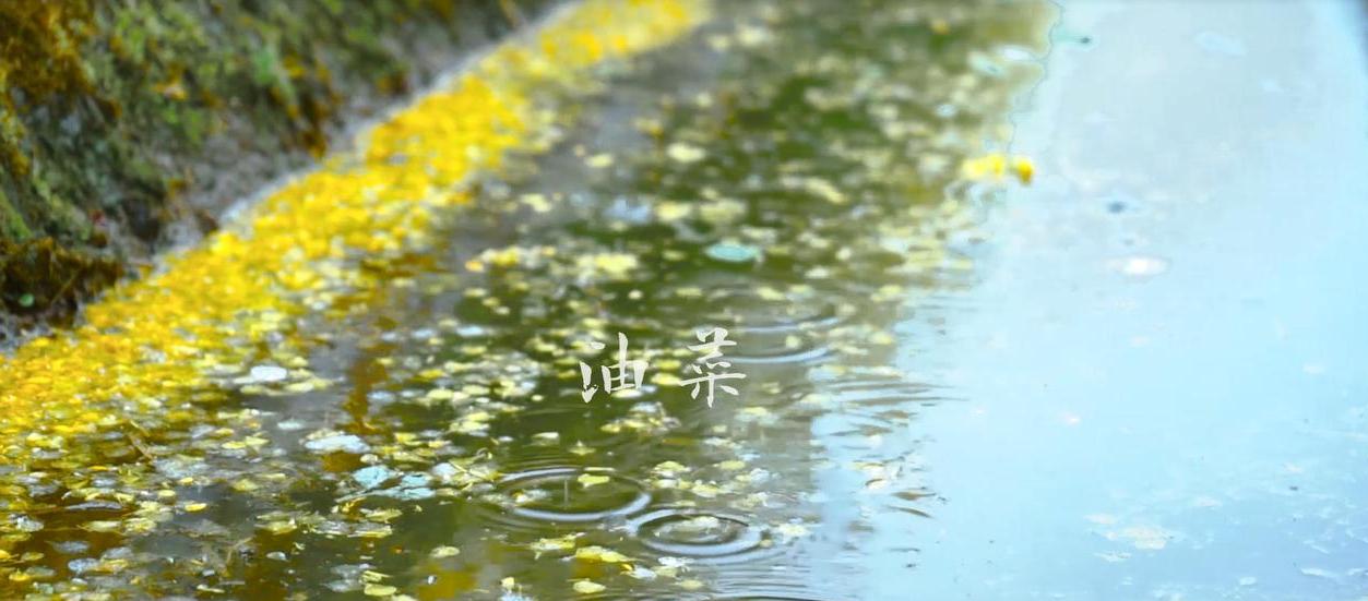 春天的陕西·汉中：一座秀美的山水城市