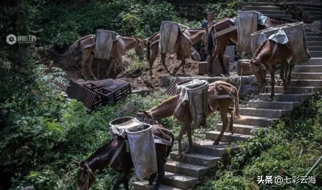 攀登武当山的马邦