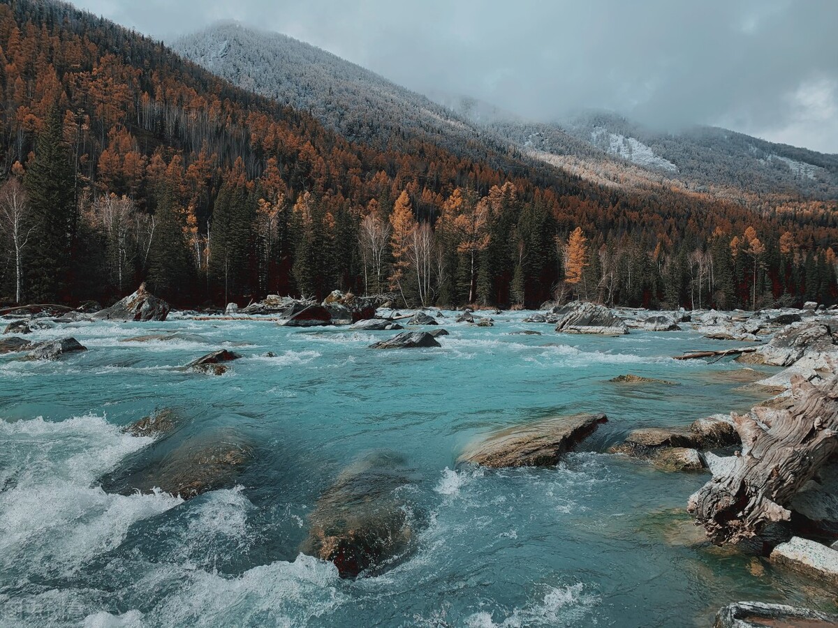 上善若水补不足而损有余,上善若水不惹尘埃