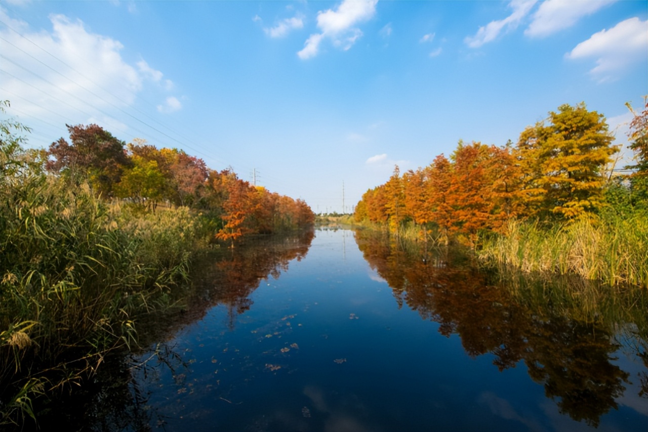 空气质量改善的数据对比图中国,全国空气质量改善幅度城市排名