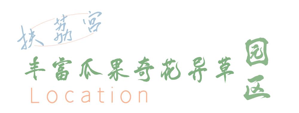 昆明周末打卡最多的网红地方,昆明1903公园最佳网红打卡地